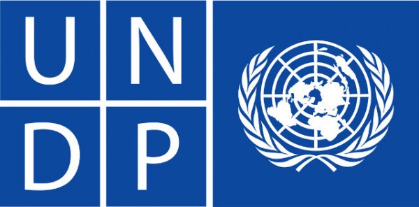 UNDP - yhfg.org